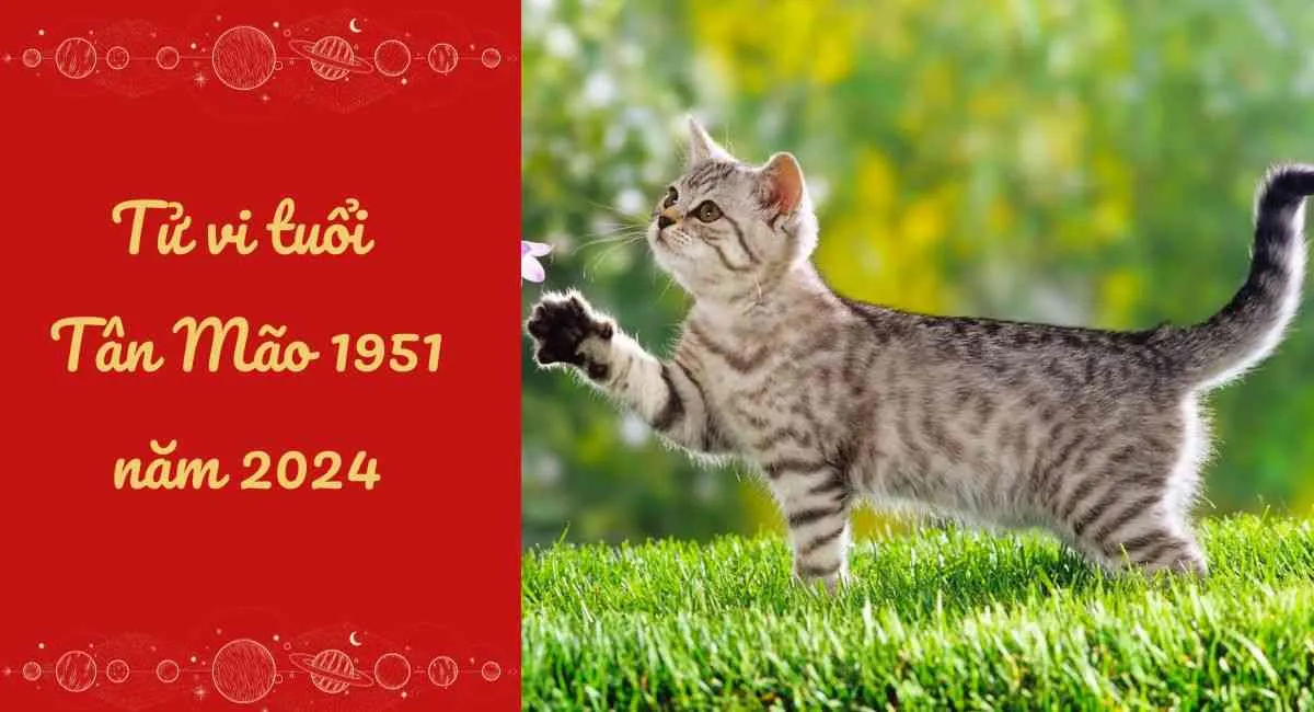 Tử vi tuổi Tân Mão 1951 năm 2024 nam mạng, nữ mạng: Cần chú ý sức khỏe