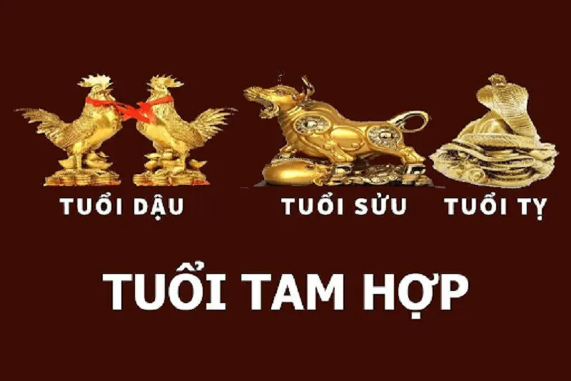 Tuổi Dậu hợp tuổi gì? Tiền tình viên mãn nếu kết hợp 3 tuổi sau