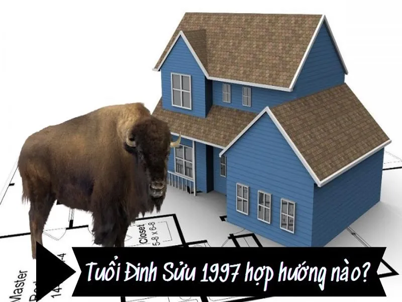 Tuổi Đinh Sửu 1997 Bao Nhiêu Tuổi Cung Gì, Hợp Màu Gì, Hợp Tuổi Nào?