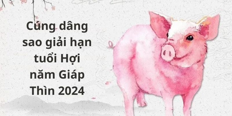 Tuổi Hợi năm 2024 sao gì? Cẩn thận một năm hao tán tài của, bệnh tật liên miên