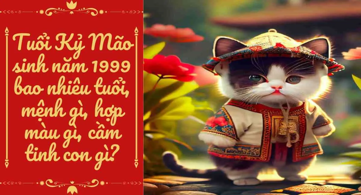 Tuổi Kỷ Mão 1999 Bao Nhiêu Tuổi Cung Gì, Hợp Màu Gì, Hợp Tuổi Nào?