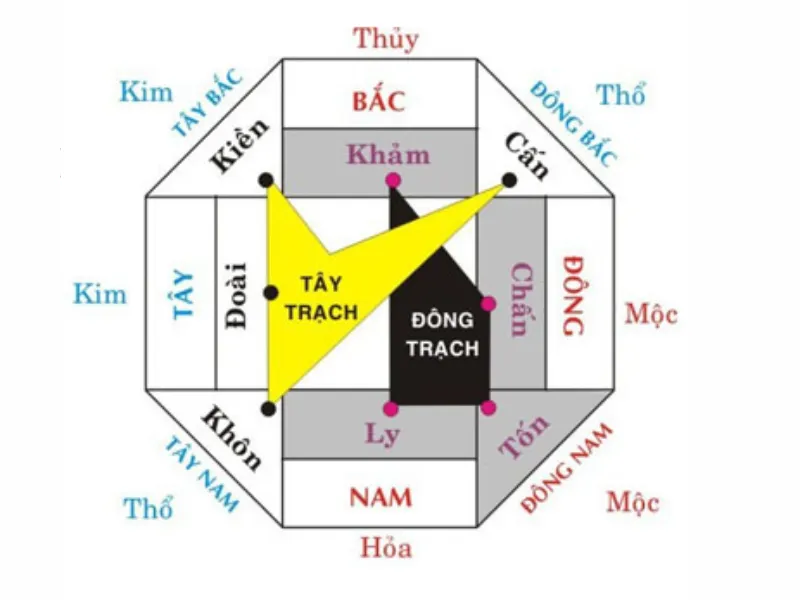 Tuổi Kỷ Mão 1999 Bao Nhiêu Tuổi Cung Gì, Hợp Màu Gì, Hợp Tuổi Nào?