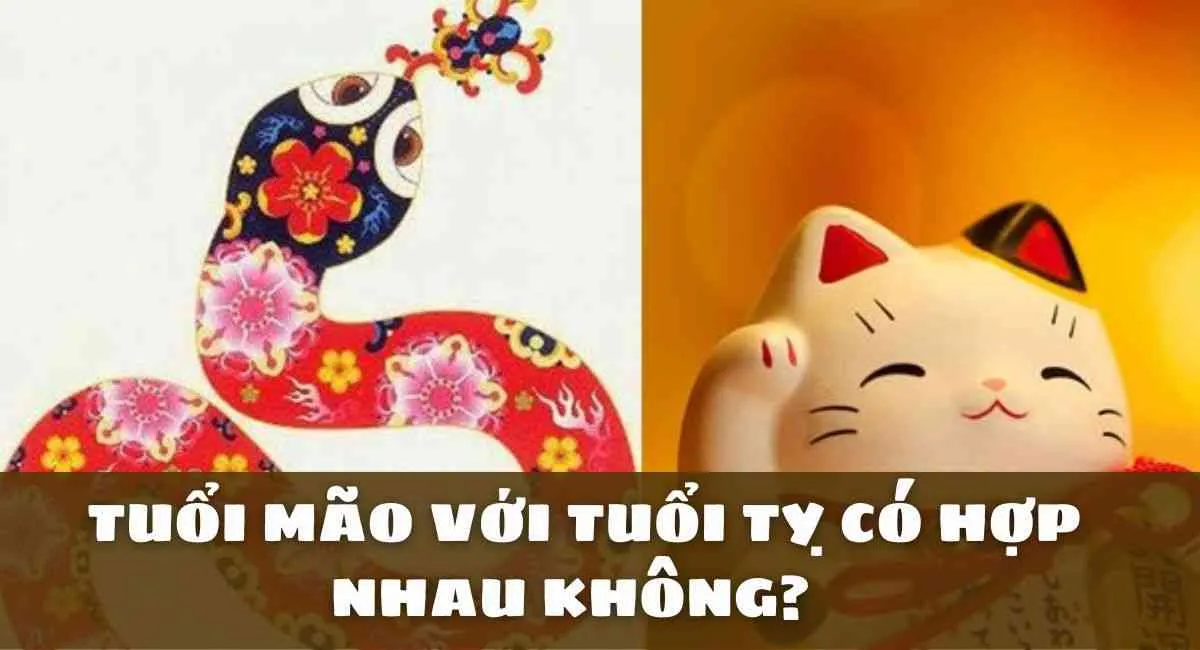 Tuổi Mão và tuổi Tỵ có hợp nhau không? Sự kết hợp đồng điệu hay nảy sinh xung đột