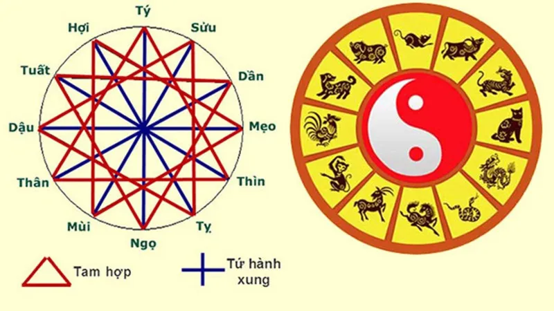 Tuổi Mậu Thân xây nhà năm 2024: Ghi nhớ điều này để thu hút tài lộc