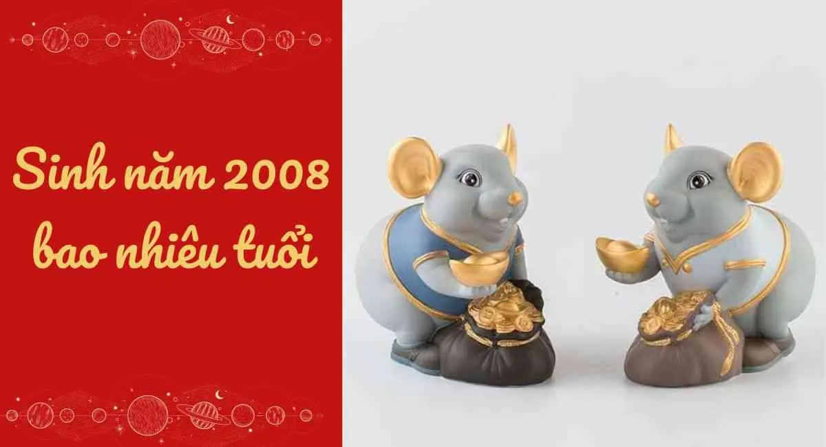 Tuổi Mậu Tý 2008 Bao Nhiêu Tuổi? Cung Gì, Hợp Màu Gì, Hợp Tuổi Nào?