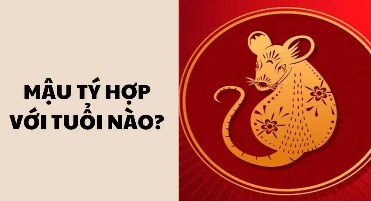 Tuổi Mậu Tý hợp với tuổi nào? Kết hợp 4 tuổi sau làm ăn thắng lợi