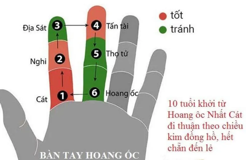 Tuổi Mậu Tý xây nhà năm 2024 – Tuyệt đối không nên làm nhà để tránh tai ương