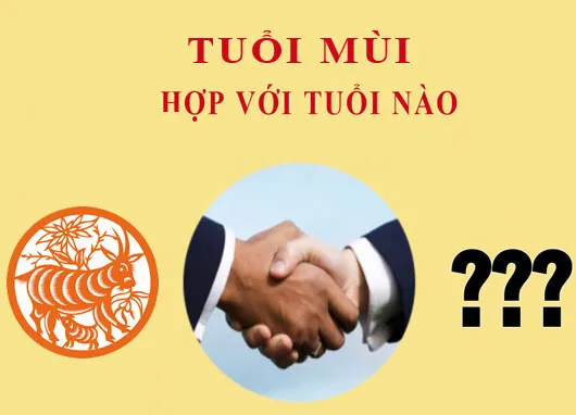 Tuổi Mùi hợp với tuổi nào trong hôn nhân? Cưới tuổi này sẽ nhanh chóng giàu sang