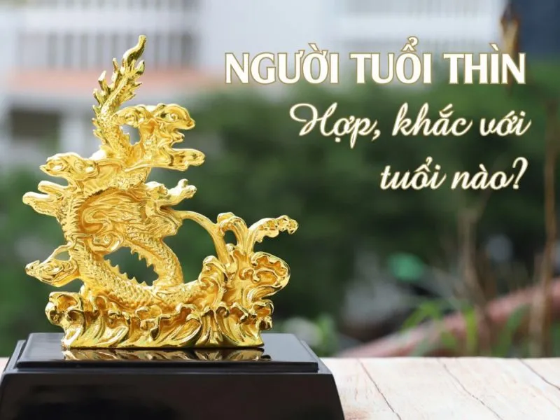 Tuổi Nhâm Thìn kết hôn năm nào thì cuộc sống viêm mãn, cả đời dư giả?