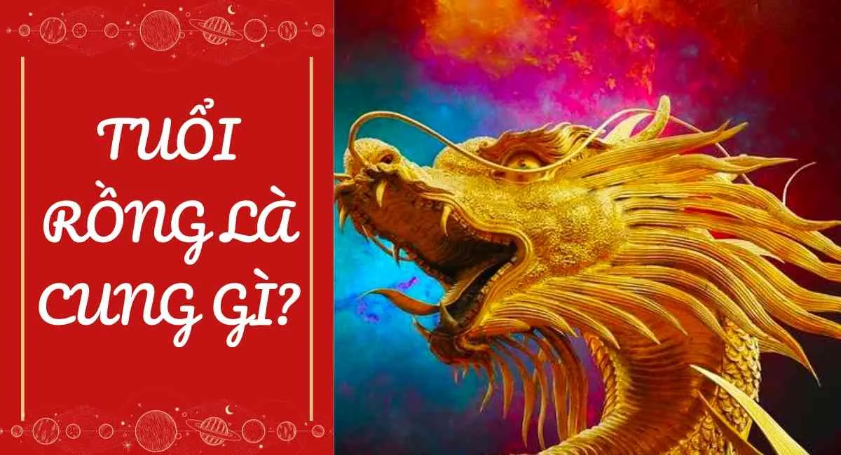 Tuổi rồng là cung gì? Tiền tài, sức khoẻ tụt dốc không phanh năm 2024