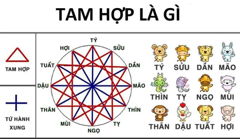 Tuổi tam hợp là gì? Bộ ba con giáp chơi thân dễ bền chặt và cùng nhau phát tài