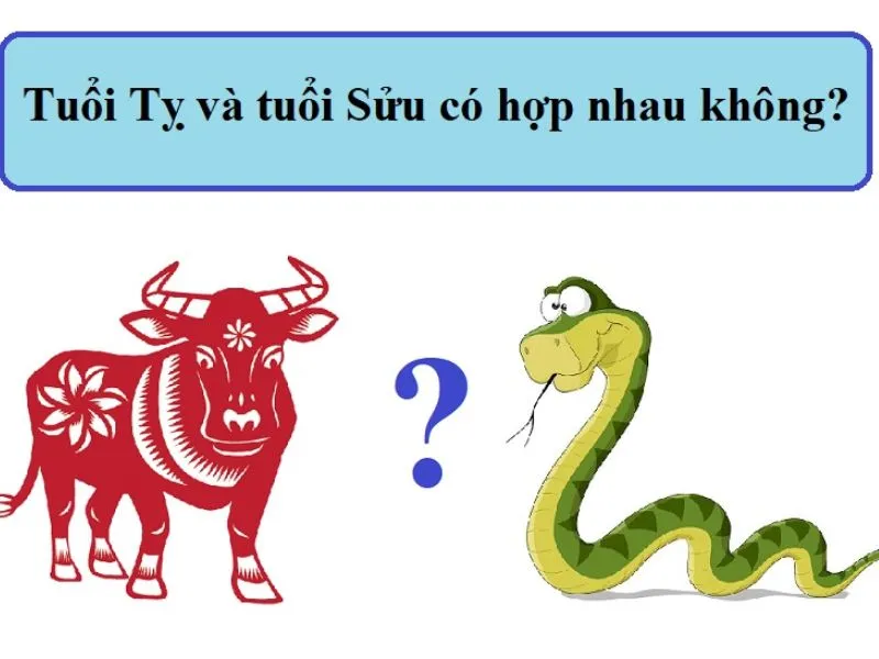 Tuổi Tân Sửu kết hôn năm nào cuộc sống hôn nhân vẹn toàn