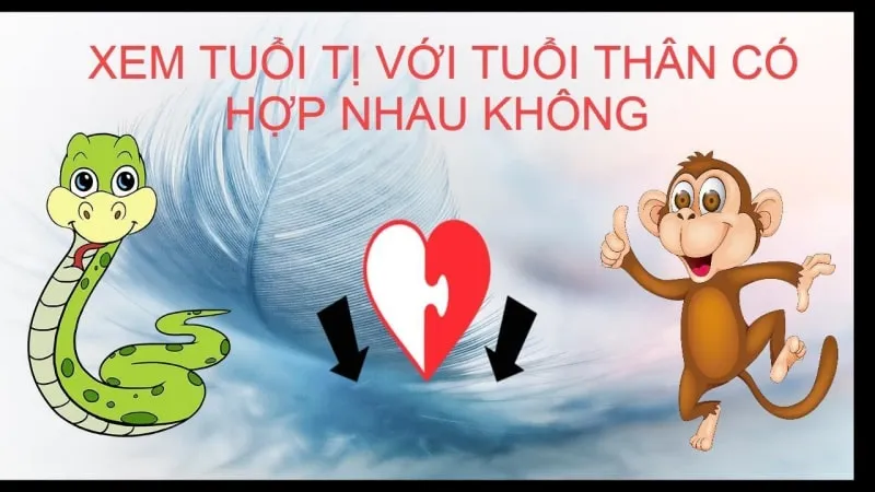 Tuổi Thân với tuổi Tỵ có hợp nhau không? Biết điều này cả hai sẽ phát tài, phát lộc