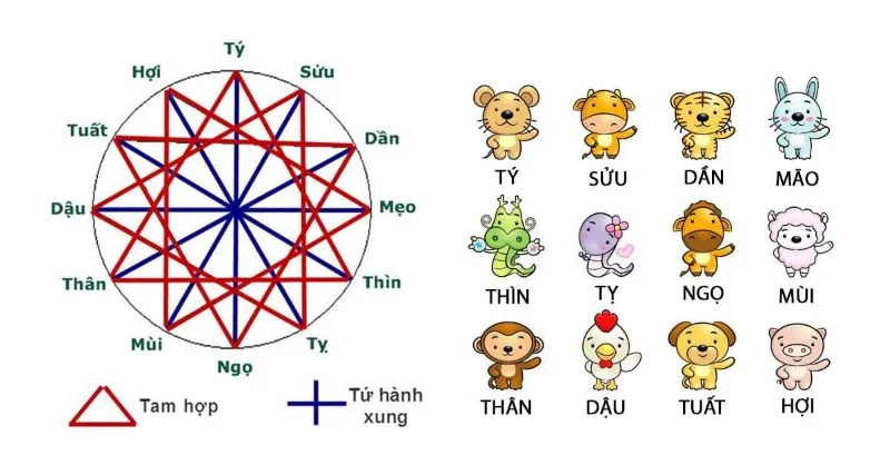 Tuổi tứ hành xung là gì? Mẹo cực hay để hóa giải và hòa hợp tứ hành xung