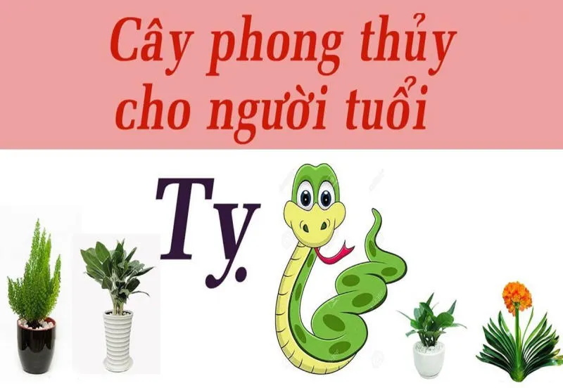 Tuổi Tỵ Hợp Cây Gì? Muốn thu hút tài lộc, may mắn không thể bỏ qua loại cây này