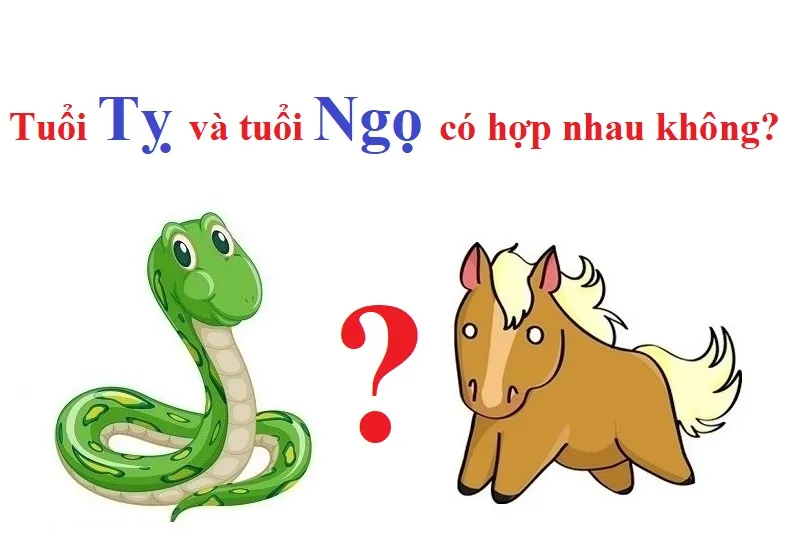 Tuổi Tỵ với tuổi Ngọ lấy nhau có hợp không? Lưu ý điều này để hôn nhân hạnh phúc