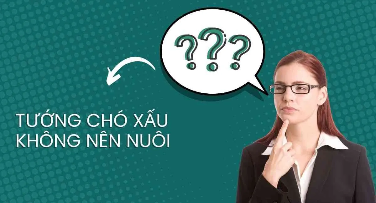 Tướng chó xấu không nên nuôi: Chỉ một con cũng đủ phá tài lộc